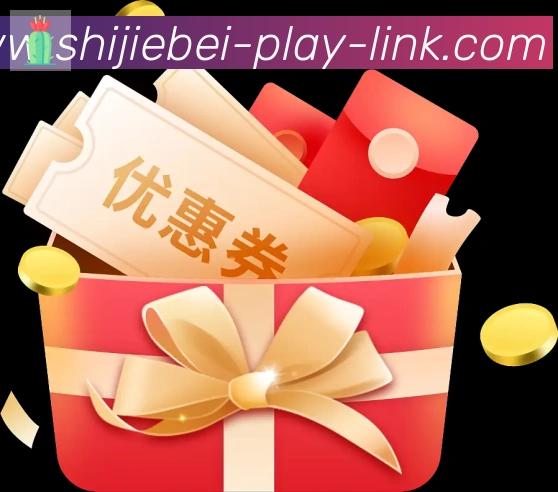 未来规划