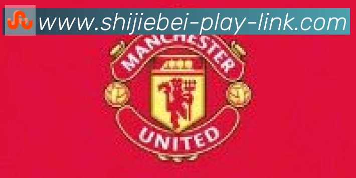 美加墨世界杯玩法官方网站合作伙伴